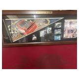 Dale Earnhardt nature's best display