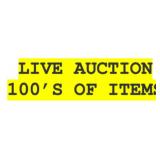 FULL ESTATE AUCTION - 100
