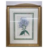 Framed print of flower