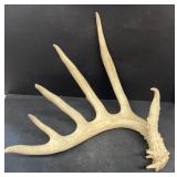 Antlers