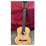 Bushwood guitar