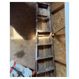 Woods step ladder