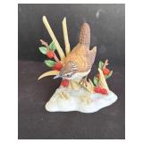 Lenox marsh WREN bird