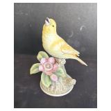 Andrea yellow Canary