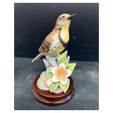 Andrea meadowlark bird
