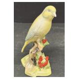Royal ADDERLEY England, Canary