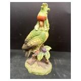 Andrea cockatoo