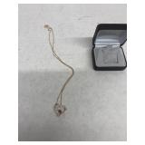 Heart necklace with sterling chain