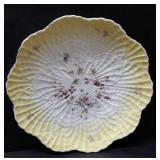 Unmarked German Oyster Plate