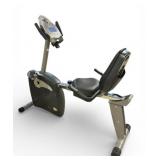 Schwinn 213 Stationary Bike