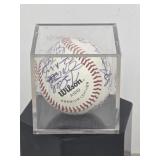 1993 Signed Ft. Wayne Wizards Baseball
