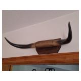 Mounted Bull Horns