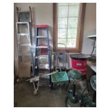 3 Ladders, Flowtron Leaf Eater, Mosquito Magnet