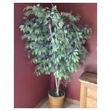 Faux Ficus Tree in Rattan Pot