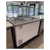 Commercial Icecream Display Chest Freezer