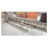 2 Aluminum Extension & Telesteps Expanding Ladders