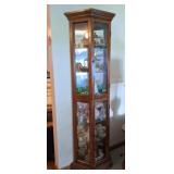 Lighted Curio Cabinet