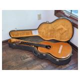 Takamine Acoustic Guitar & Case