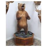 Taxidermy Brown Bear