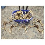 Assorted Deer Antlers