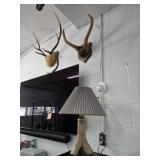 2 Mounts and Hoof Lamp