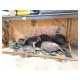 Turkey Decoys, T-Posts, Camouflage Bags