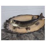 Replica Northern Pike Mount