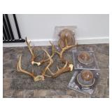 3 Sets of Antlers & 3 NEW Mounts