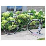 Mens Schwinn Collegiate Bicycle