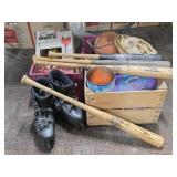 Sports Equipment: Bats, Glove, Nerf & More