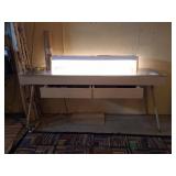 Display Table with Light, Rocks, Arrowheads