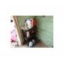 ONLINE ONLY AUCTION