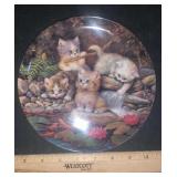 COLLECTOR PLATE-AM SEEROSENTEICH COLLECTOR PLATE-AM SEEROSENTEICH