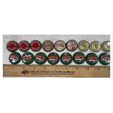 (17)BOTTLE CAPS-CHECK OUT THE PIC