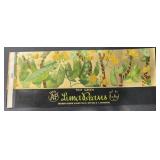 (5 COUNT)VINTAGE CAN LABEL-TINA GREEN/LIMA BEANS