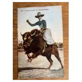 VINTAGE "UNUSED" POSTCARD-"BUFFALO RIDER"