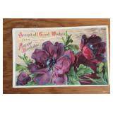 VINTAGE "STECHER CO." "UNUSED" POSTCARD-"1900"