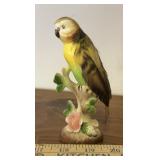 COLLECTIBLE-"BIRD"
