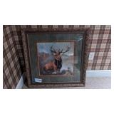 Elk picture 33x33'