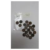 20 Assorted Indian Head Pennies worth $3 each