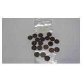 20 Assorted Indian Head Pennies worth $3 each