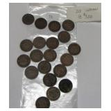 20 Assorted Indian Head Pennies worth $3 each