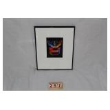 Dental Pic "LOOK" A pietersen COA