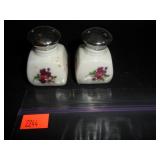 Vintage Flower Scene Salt and Pepper Shakers