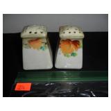 Nippon Hand Painted Salt and Pepper Shakers