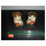 Vintage Fruit Scene Salt and Pepper Shakers