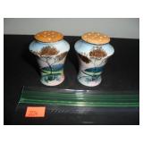 Vintage Scenic Scene Salt and Pepper Shakers