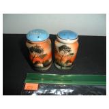 Japan Hand Painted Salt and Pepper Shakers