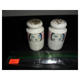 Pink & Blue Flowers Salt and Pepper Shakers