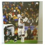 Bronco Canvas